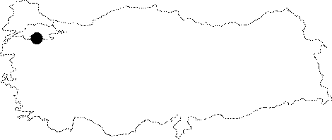 maps