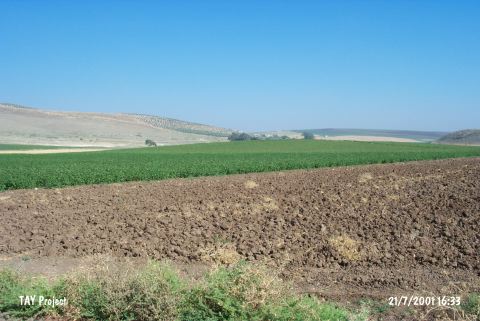 G�ltepe