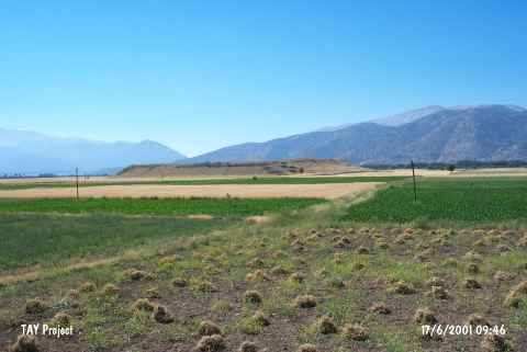 Hacimusalar / Beyler