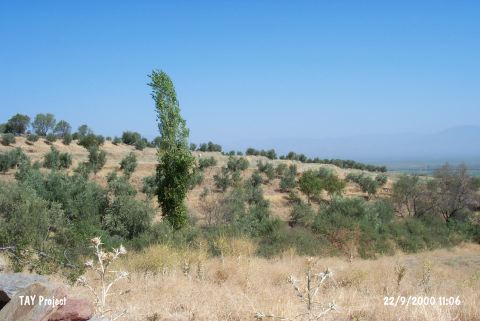 Alamut