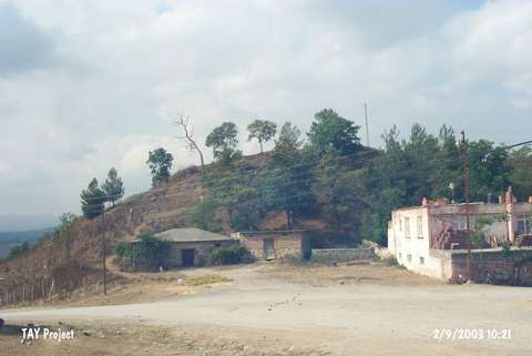 Kaledoruu / Kavak