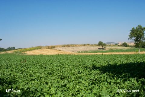 K�pr�hisar