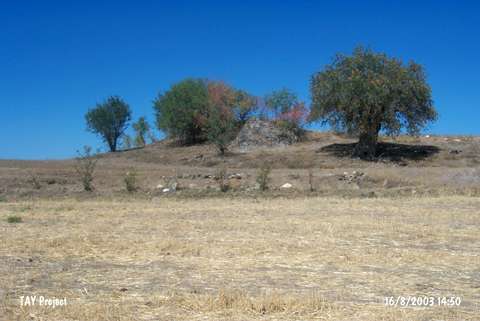 Kurbantepe