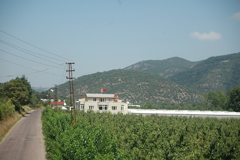 R1