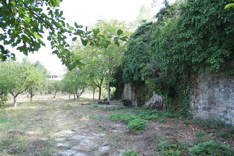 Durusu Kalesi