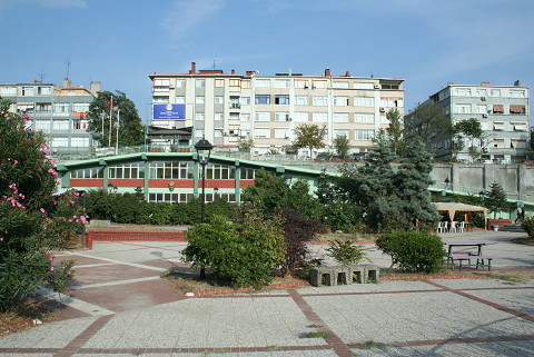 Mokios (Altmermer) Sarnc