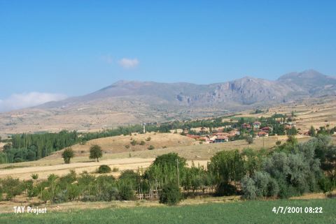 Ayvali