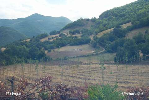 Bakacak Tepe