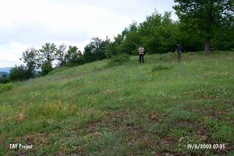 Alancik Tepe