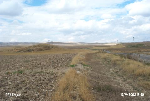 Adsz (ereflikohisar / Yusufkuyusu)