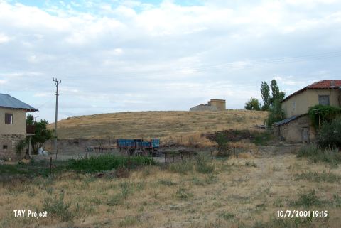 Bektem�r H�y�k