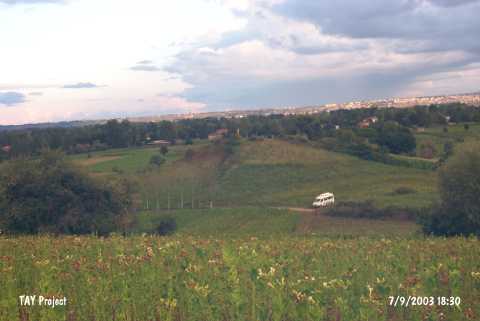 Cirlek
