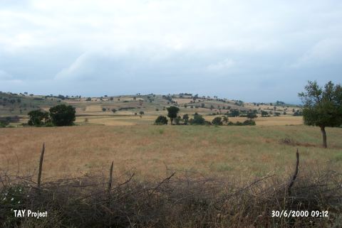 �alca Mevkii
