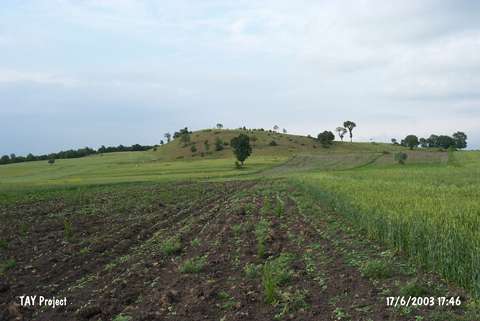 am Tepe