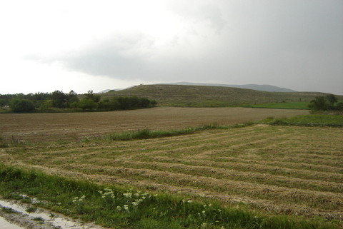 R1