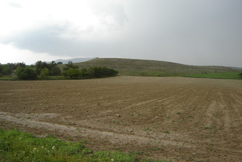 R1