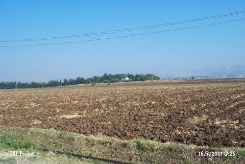 Gazi M�rsel Tepesi